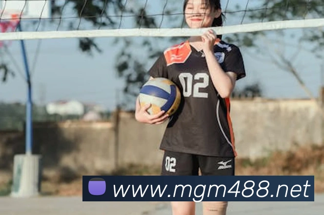 美高梅mgm平台生态图