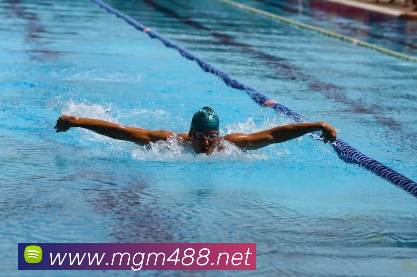 美高梅mgm全站App